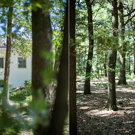 Il Richiamo Del Bosco Landhuis Sala Baganza